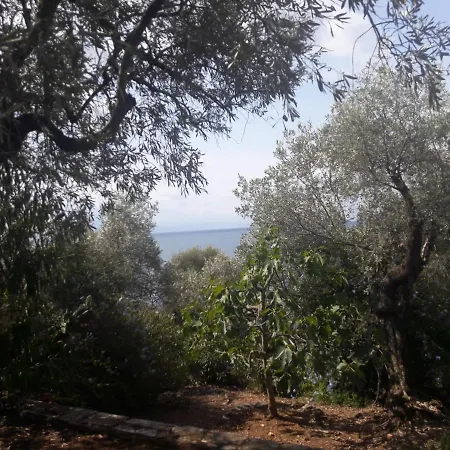 Semesterbostad Imelda *