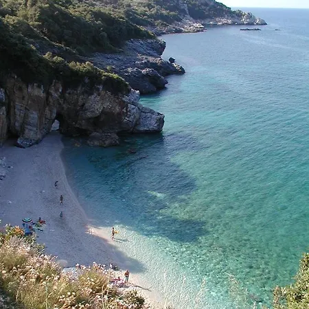 Imelda * Afissos