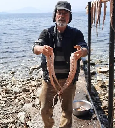 Semesterbostad Imelda Afissos