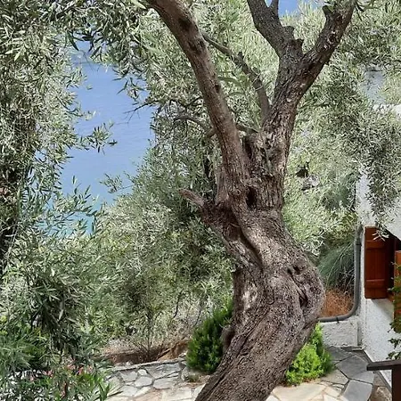 Semesterbostad Imelda