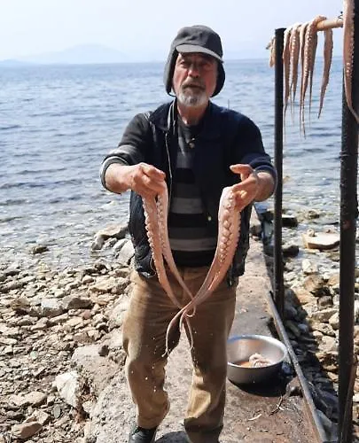 Semesterbostad Imelda Afissos