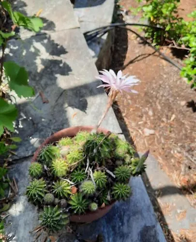 Imelda Semesterbostad *